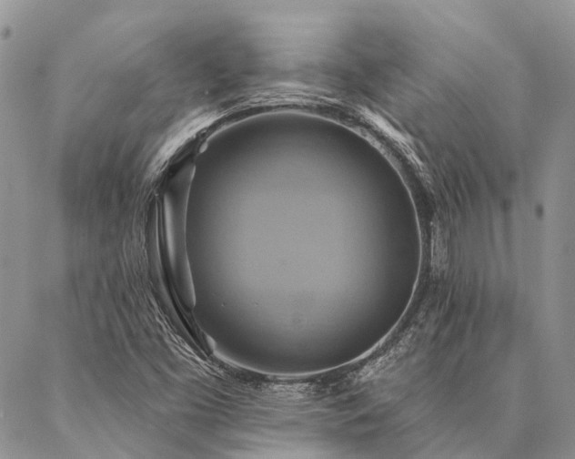 X0000087351453200704201110