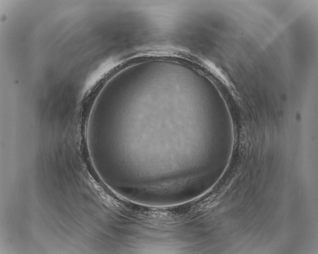 X0000087351456200704201110
