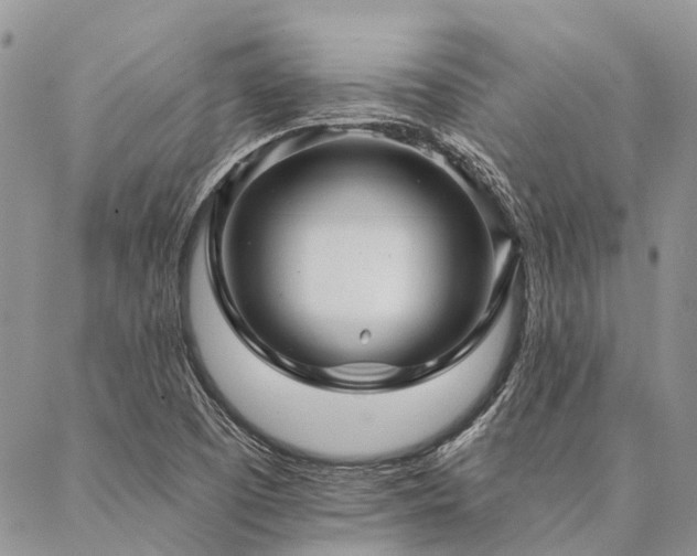 X0000087351457200704201110