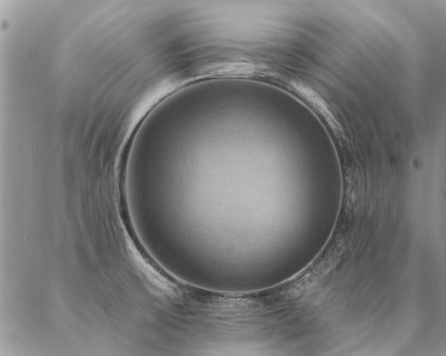 X0000087351475200704201110