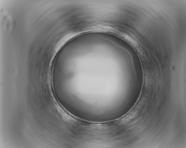 X0000087351478200704201110
