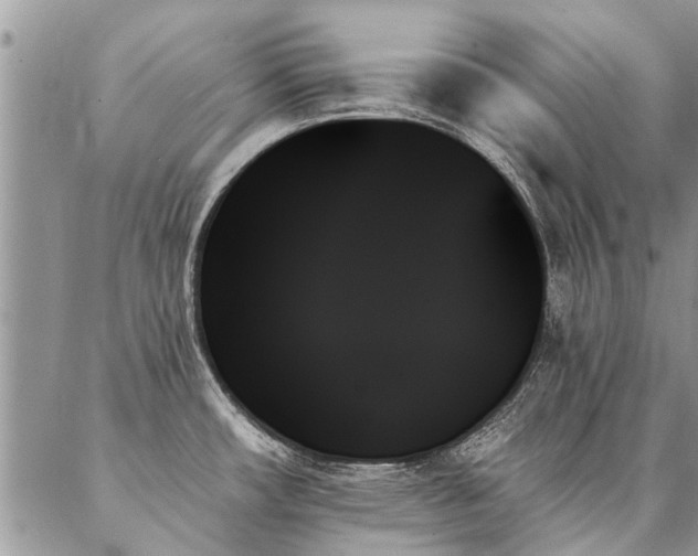 X0000087351482200704201109
