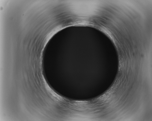 X0000087351483200704201109