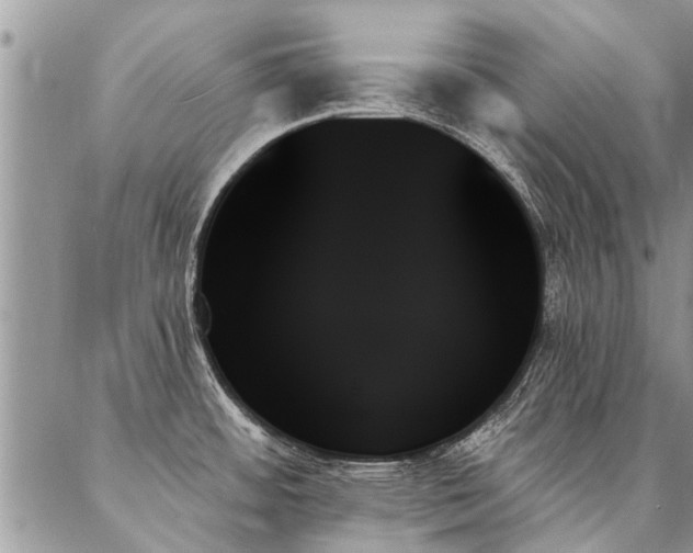 X0000087351484200704201109
