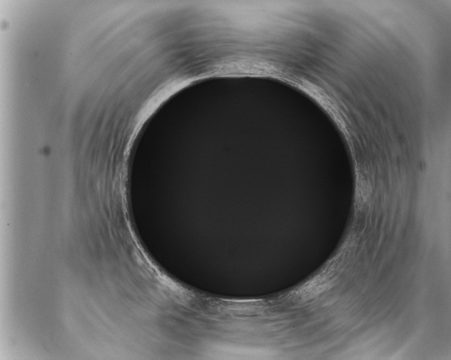 X0000087351486200704201109