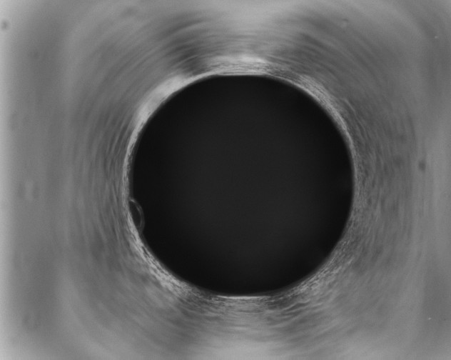 X0000087351488200704201109