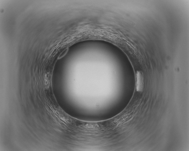 X0000087351491200704201109