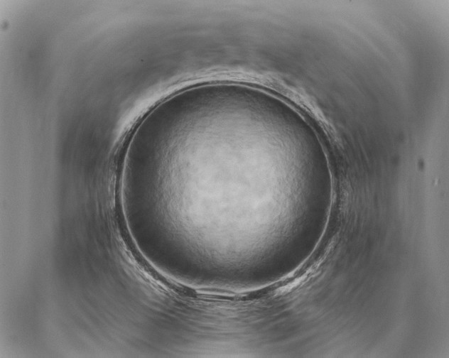 X0000087351504200704201109