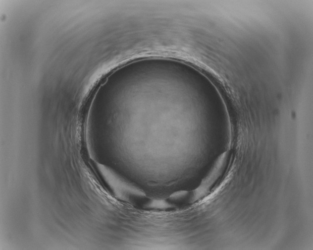 X0000087351506200704201109