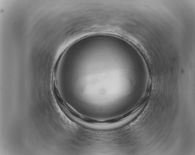 X0000087351520200704201109