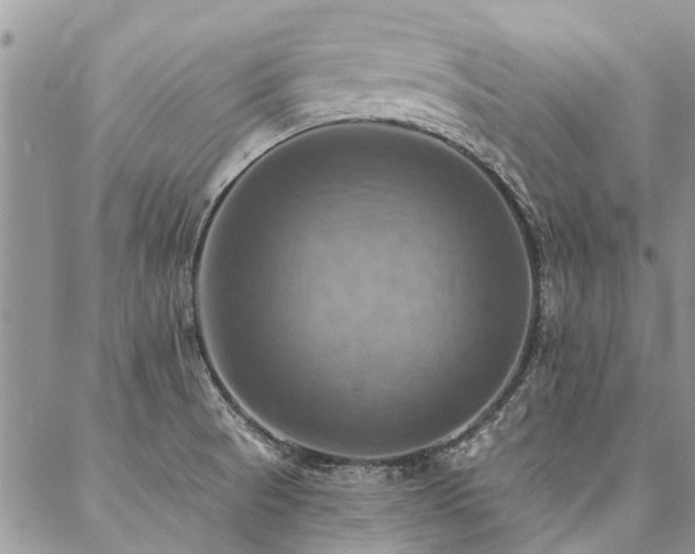 X0000087351521200704201109