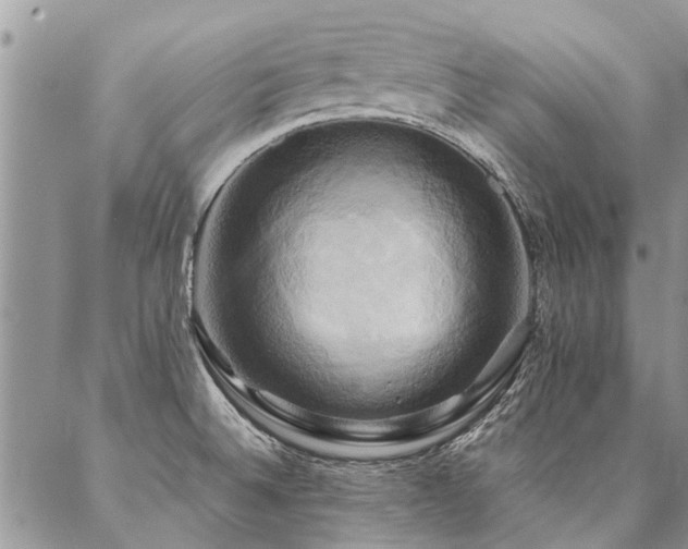 X0000087351524200704201109
