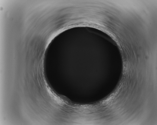 X0000087351530200704201109