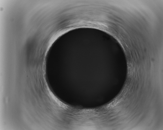 X0000087351531200704201109