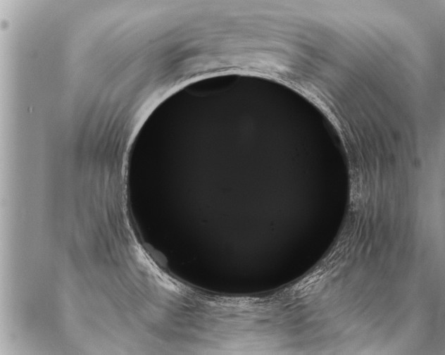 X0000087351532200704201109