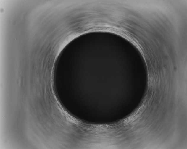X0000087351533200704201109