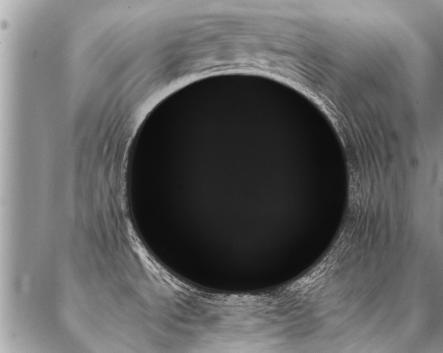 X0000087351534200704201109