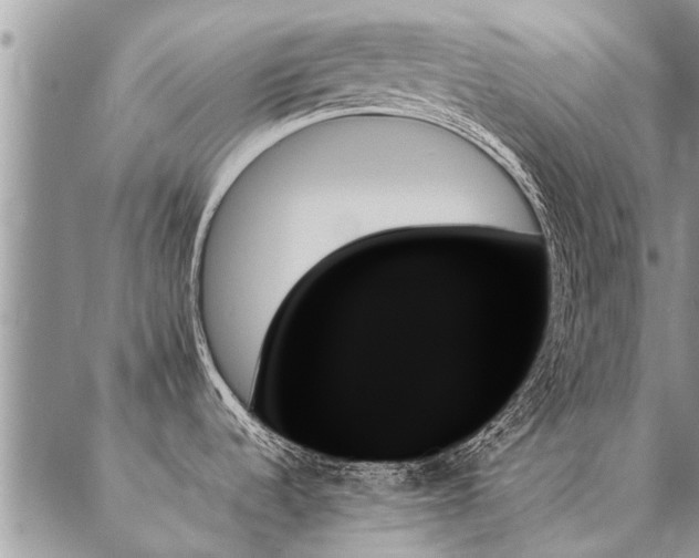 X0000087351536200704201109