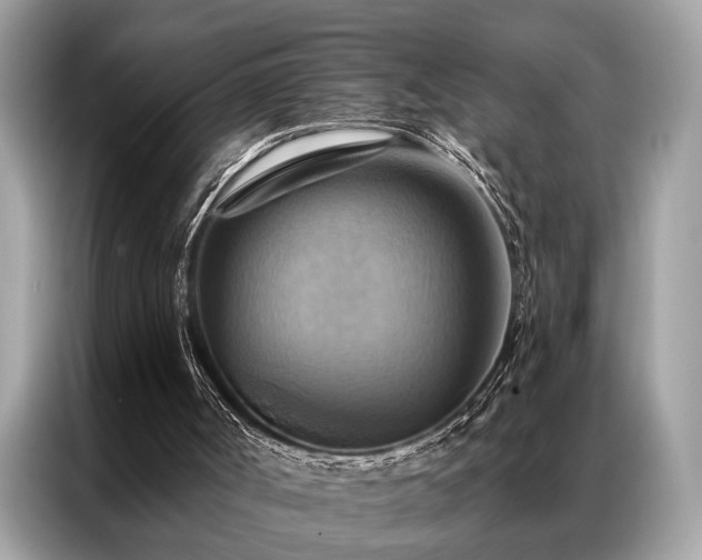 X0000087350002200704271427