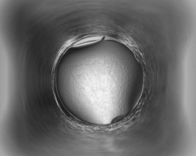 X0000087350003200704271427
