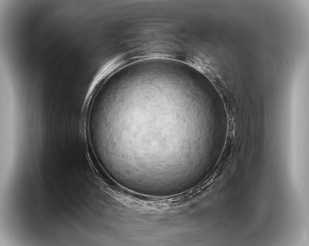 X0000087350004200704271427
