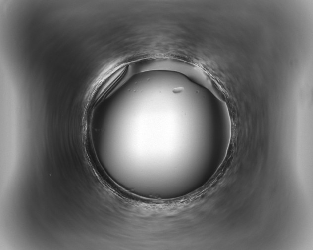 X0000087350005200704271427