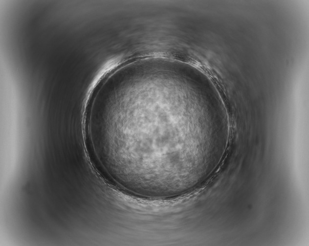 X0000087350006200704271427