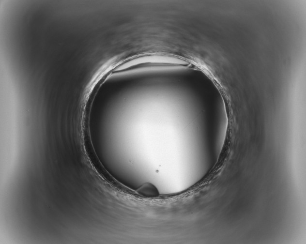 X0000087350007200704271427