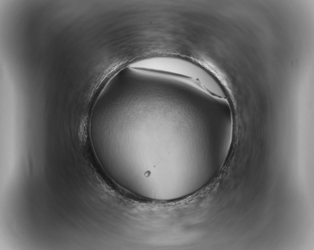 X0000087350009200704271427