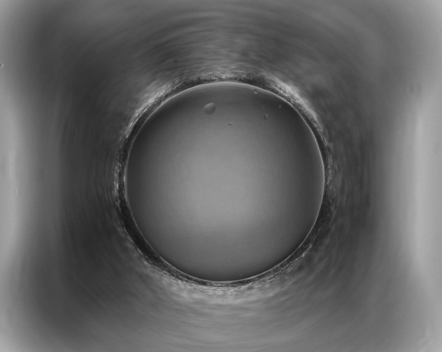 X0000087350010200704271427