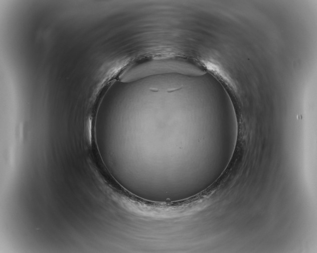 X0000087350014200704271427
