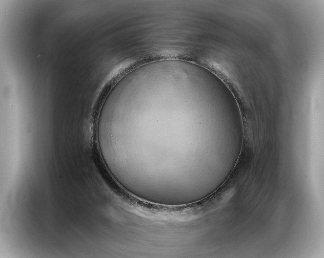 X0000087350016200704271427