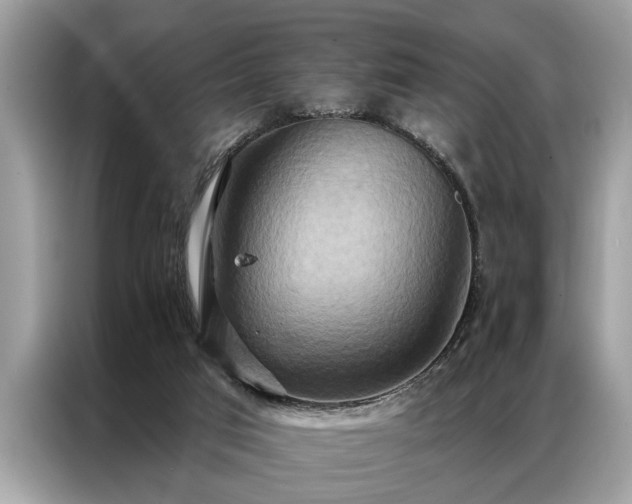 X0000087350017200704271427