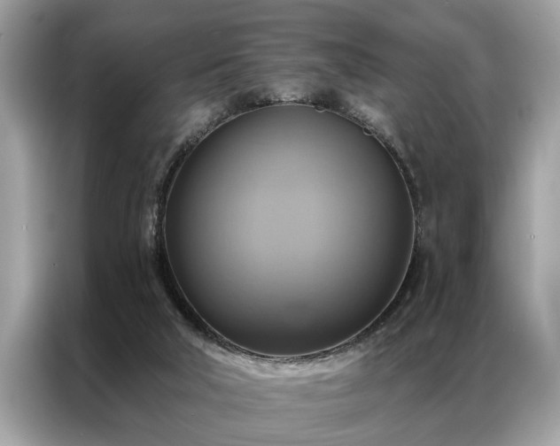 X0000087350018200704271427