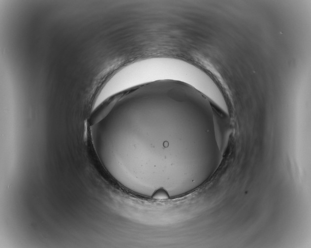 X0000087350019200704271427