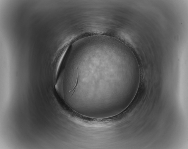 X0000087350020200704271427