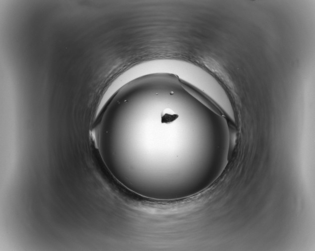 X0000087350021200704271427