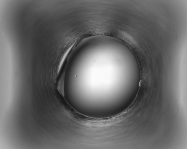 X0000087350025200704271427