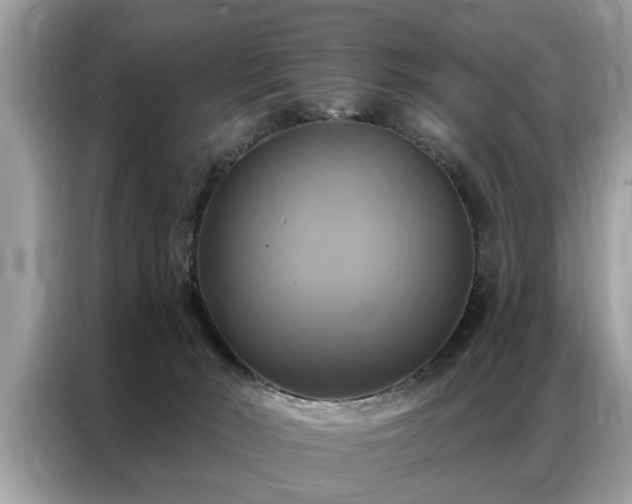 X0000087350030200704271427