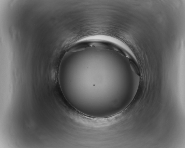 X0000087350031200704271427