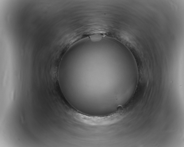 X0000087350034200704271427