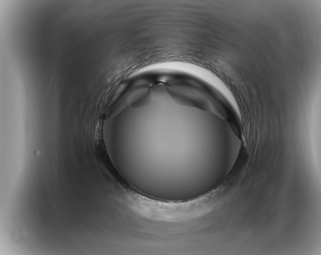 X0000087350039200704271427