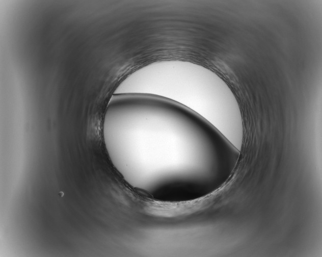 X0000087350045200704271427