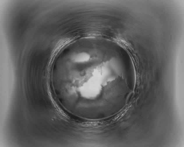 X0000087350049200704271426