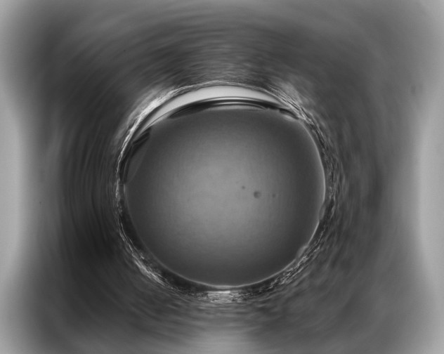 X0000087350050200704271426