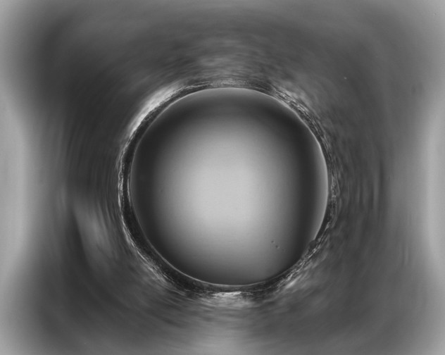 X0000087350054200704271426