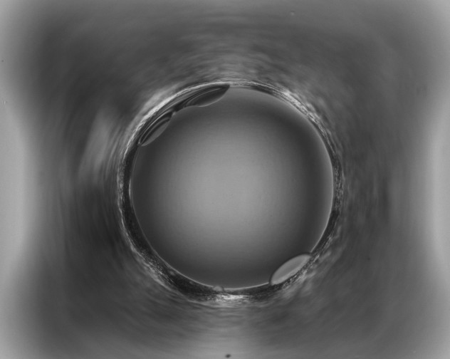 X0000087350055200704271426