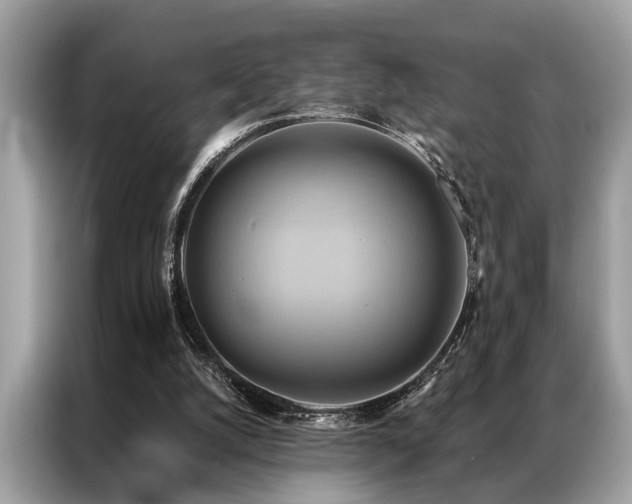 X0000087350056200704271426