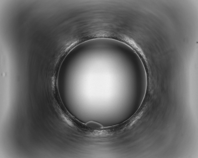 X0000087350057200704271426