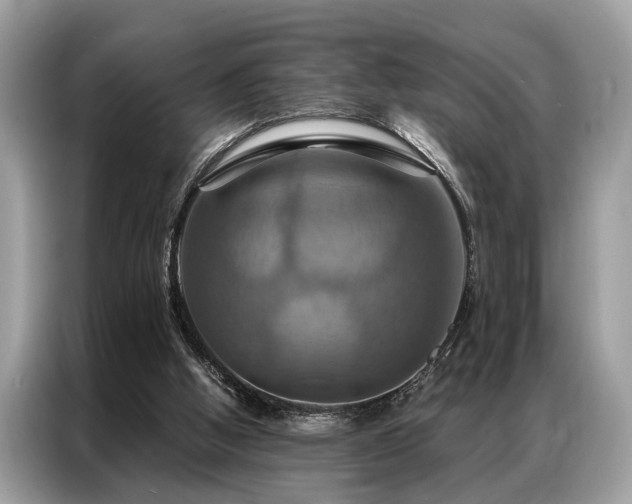 X0000087350058200704271426